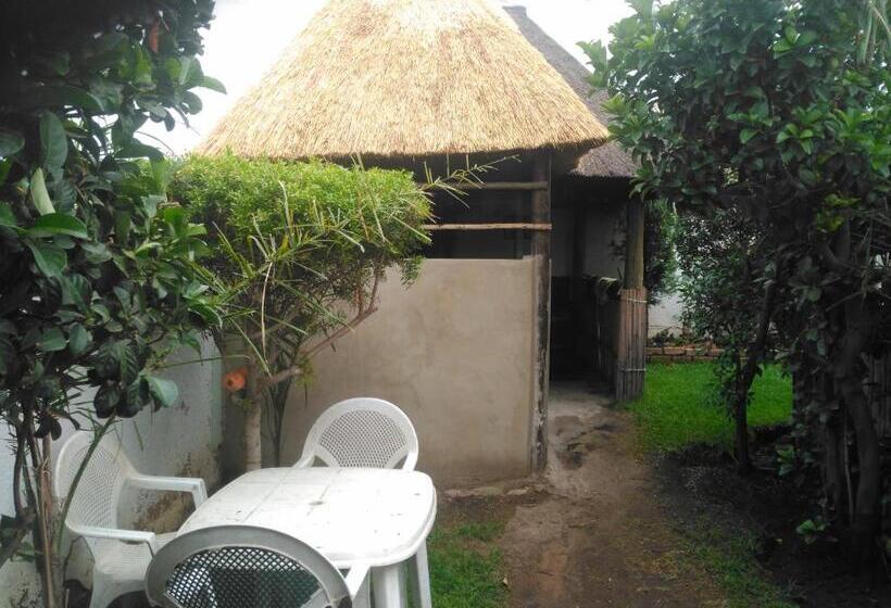 ユースホステル Authentic Bicycle Tours And Backpackers