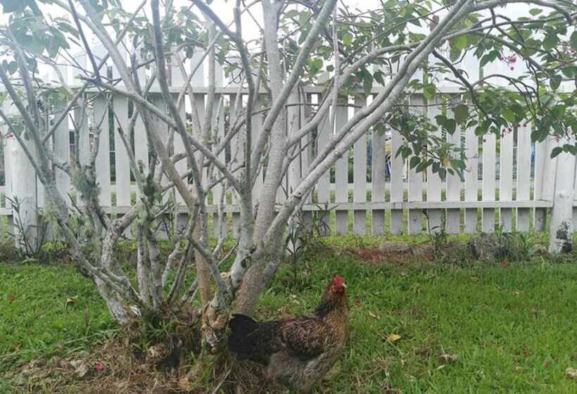 צימר Dreams Homestay