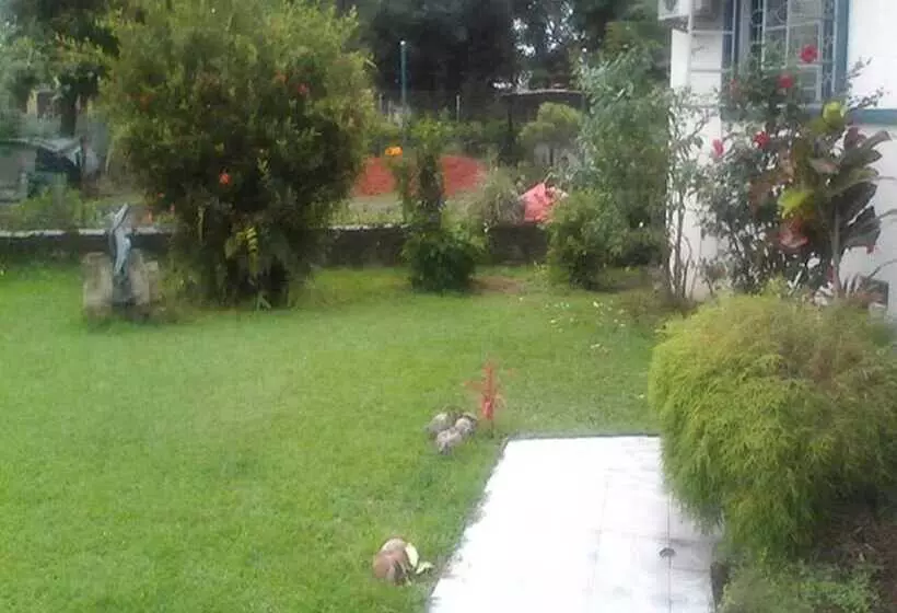 Aamiaismajoitus (B&B) Dreams Homestay