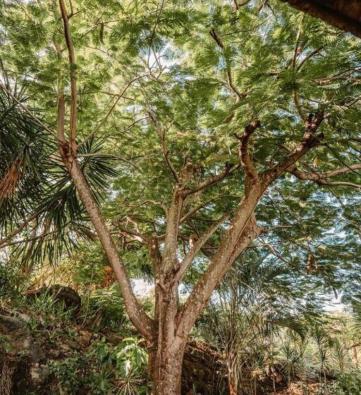 هتل Residence Au 'ti Sucrier