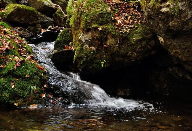 ريوكان Okutamaji