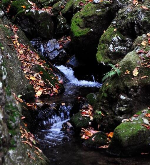 ريوكان Okutamaji