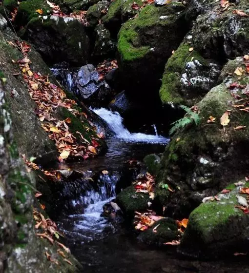 旅館 Okutamaji