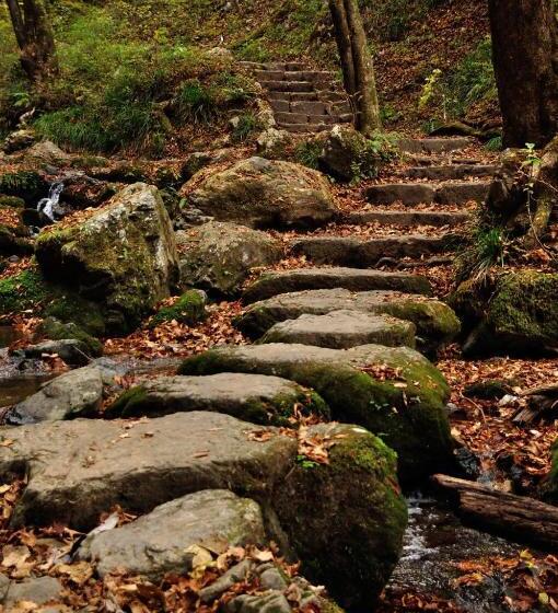 ريوكان Okutamaji