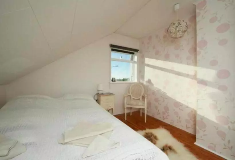 Blue House B&b