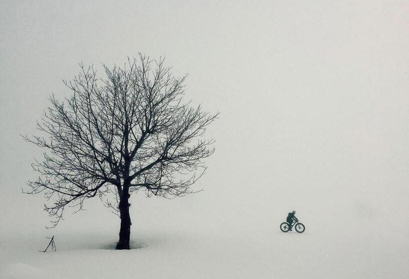 בית מלון כפרי Alpen Plaza