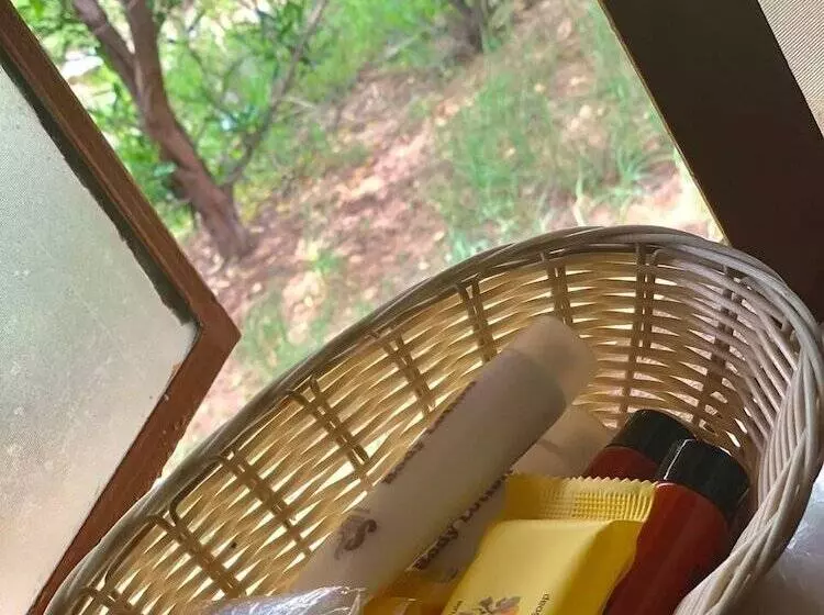 هتل Echo Lodge