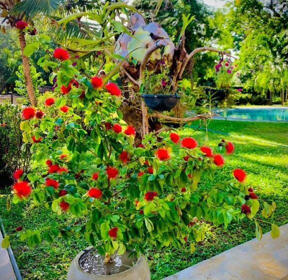 酒店 Moonstone Villas