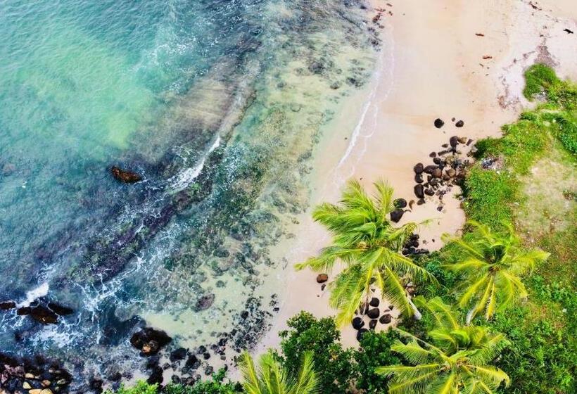 酒店 Moonstone Villas