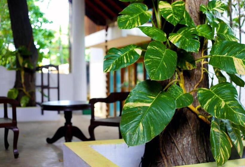 酒店 Moonstone Villas