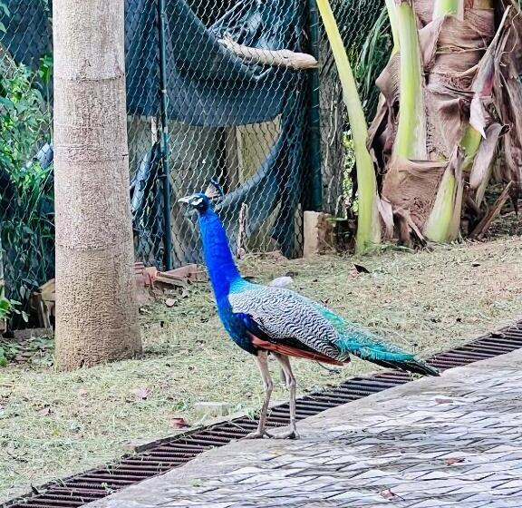 酒店 Moonstone Villas