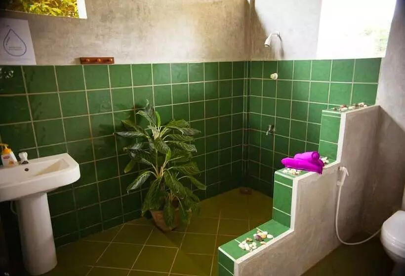 هتل Yala Yin Yang   Hostel