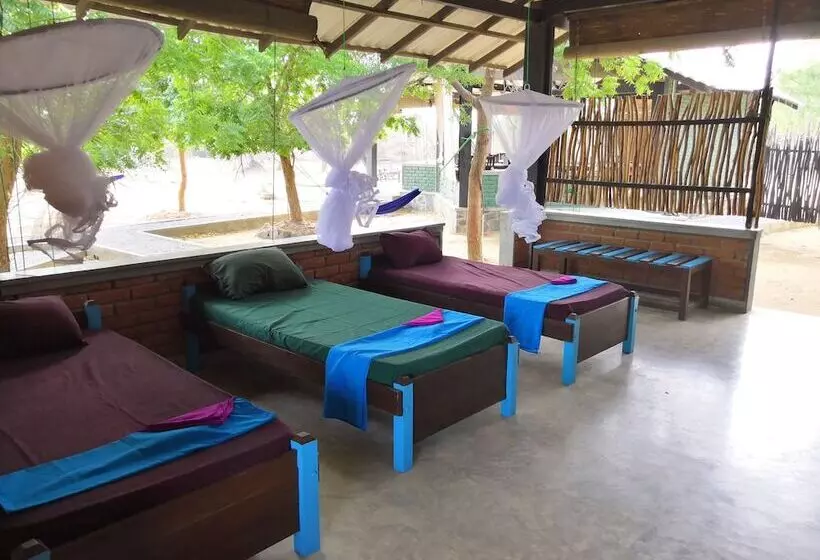 هتل Yala Yin Yang   Hostel