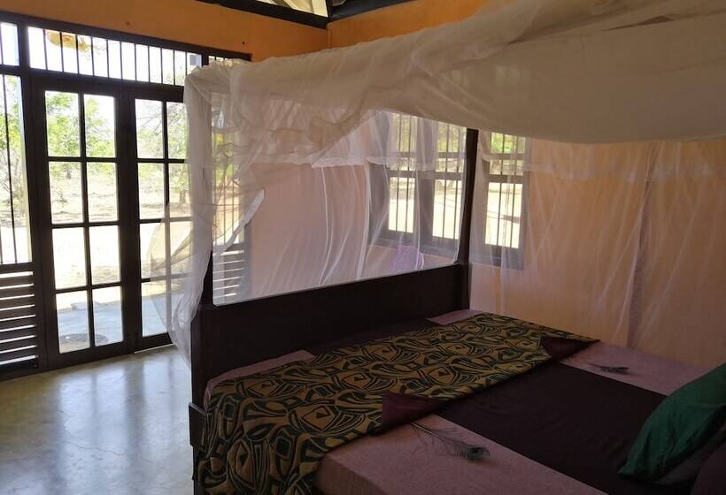 酒店 Yala Yin Yang Hostel