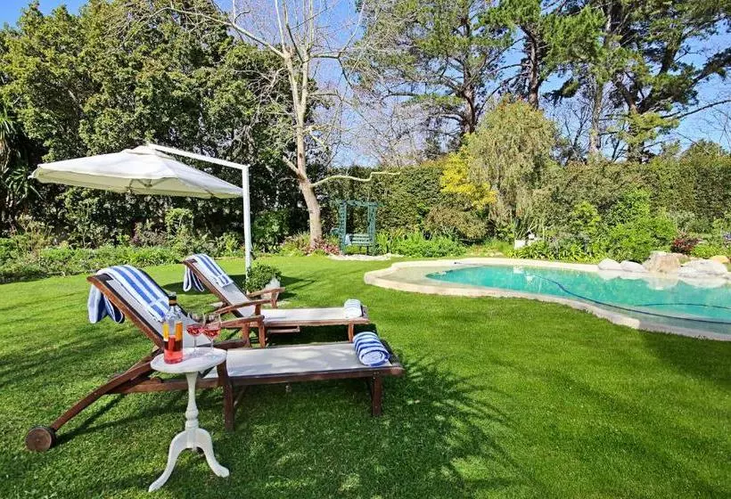 Aamiaismajoitus (B&B) Beluga Of Constantia Guest House