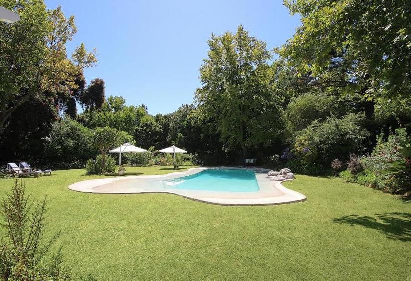 민박 Beluga Of Constantia Guest House