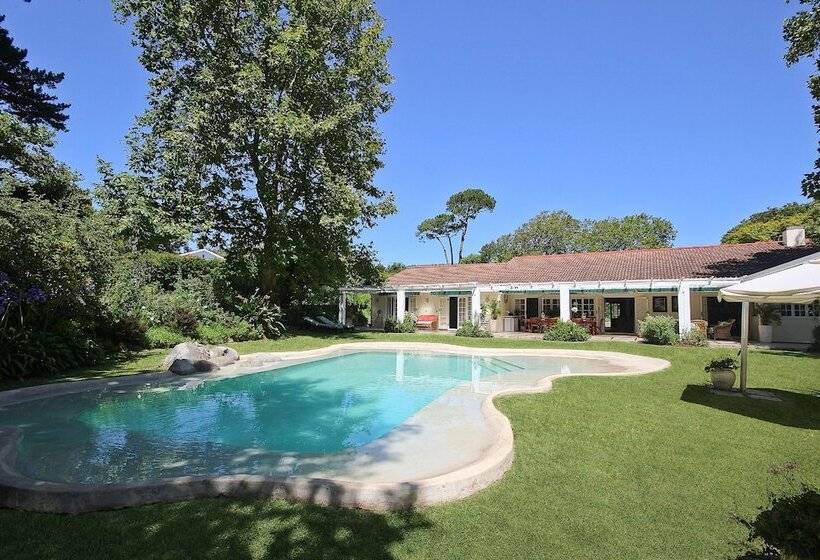 민박 Beluga Of Constantia Guest House