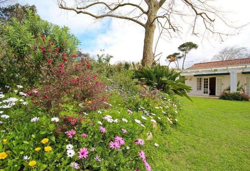 민박 Beluga Of Constantia Guest House