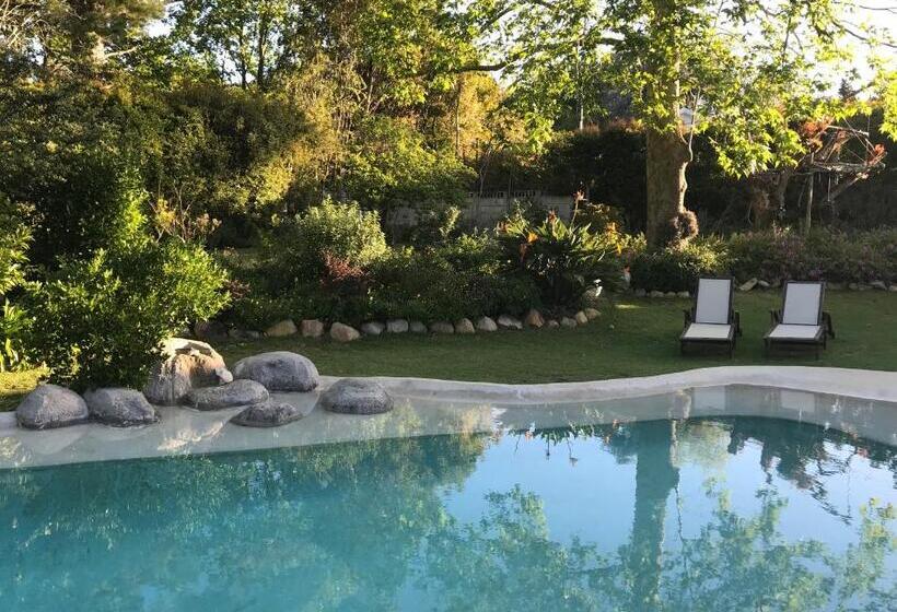 민박 Beluga Of Constantia Guest House