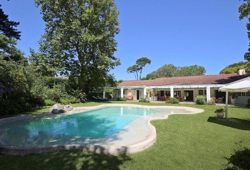 민박 Beluga Of Constantia Guest House