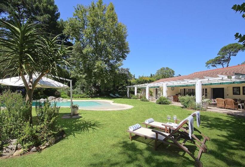 민박 Beluga Of Constantia Guest House