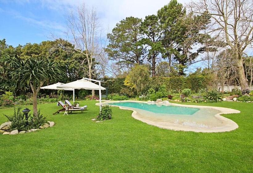 민박 Beluga Of Constantia Guest House