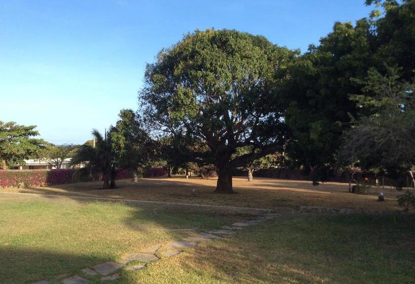 تختخواب و صبحانه Kilima Tamu House