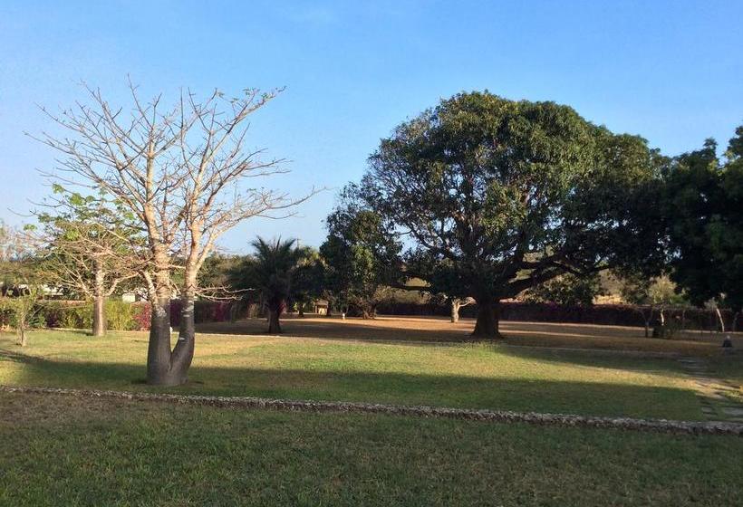 تختخواب و صبحانه Kilima Tamu House