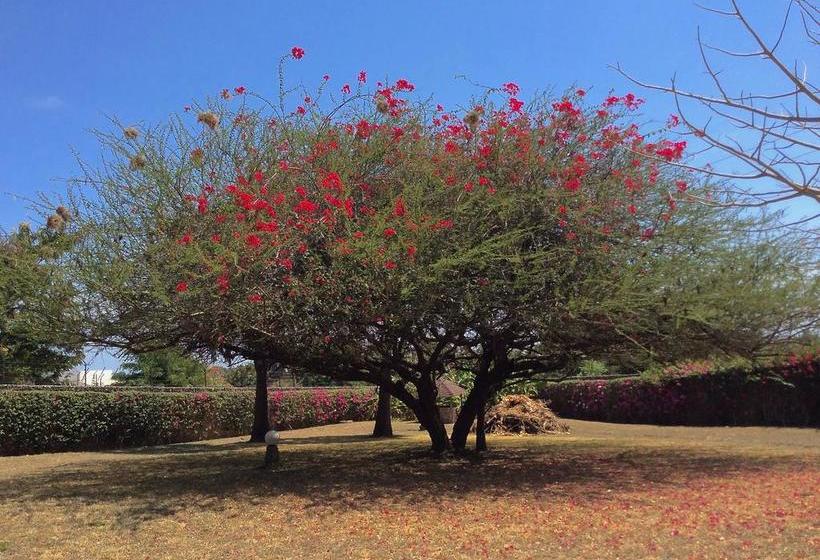 تختخواب و صبحانه Kilima Tamu House