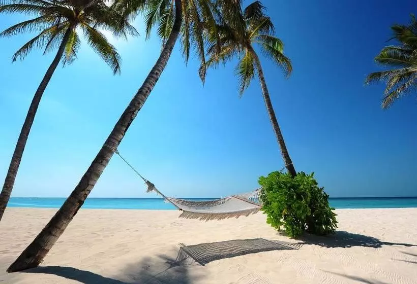 تختخواب و صبحانه Lemus Beach Punta Cana