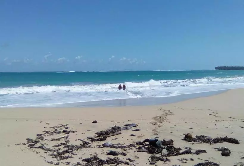 تختخواب و صبحانه Lemus Beach Punta Cana