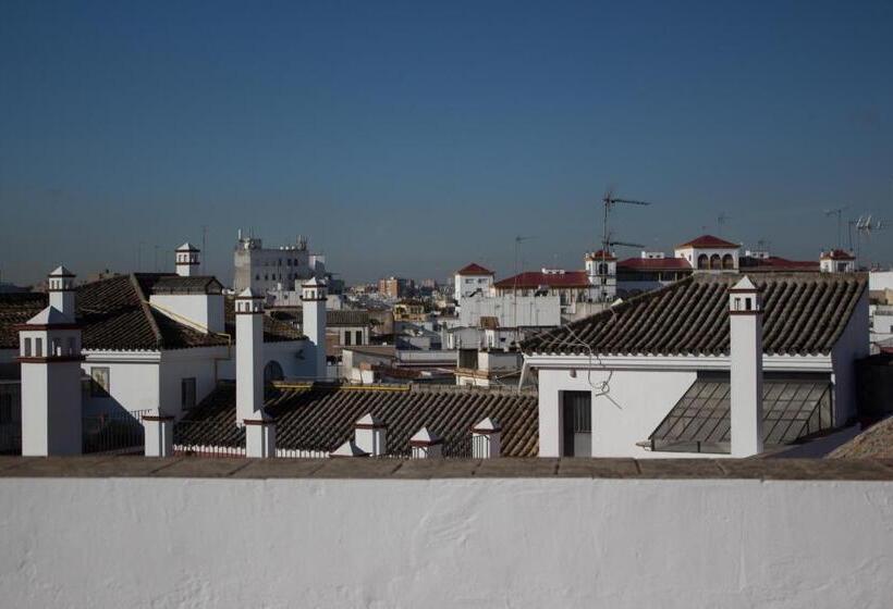 Black Swan Hostel Sevilla