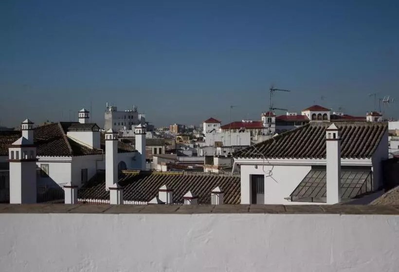 Black Swan Hostel Sevilla