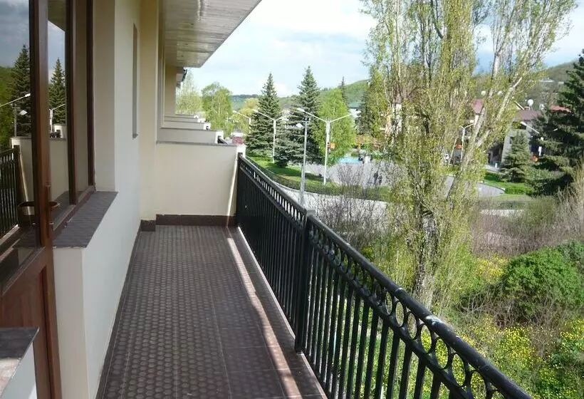 Saya Hotel Tsaghkadzor