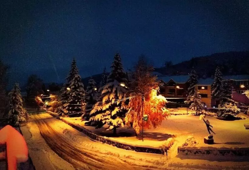 Saya Hotel Tsaghkadzor