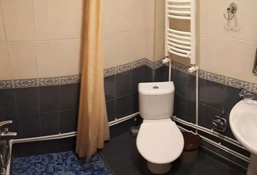 Saya Hotel Tsaghkadzor