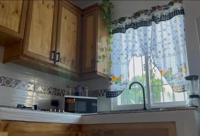 Nuovo Hotel Playa Catalina