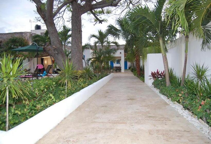 Nuovo Hotel Playa Catalina