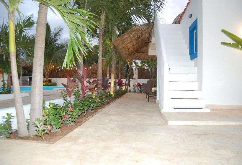 Nuovo Hotel Playa Catalina