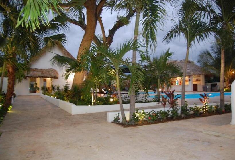 Nuovo Hotel Playa Catalina