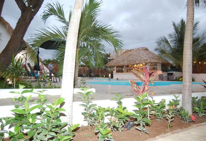 Nuovo Hotel Playa Catalina