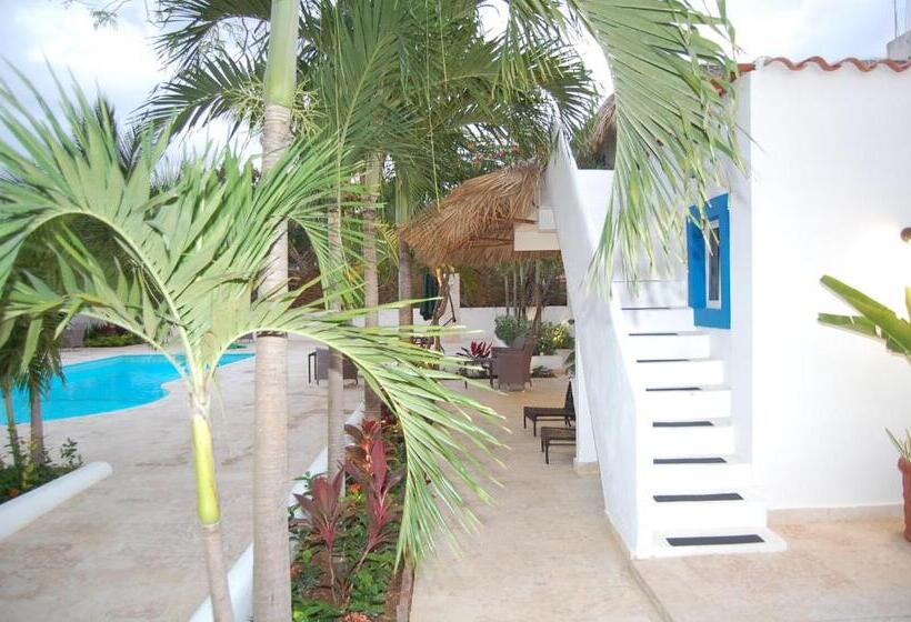 Nuovo Hotel Playa Catalina