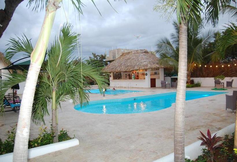 Nuovo Hotel Playa Catalina