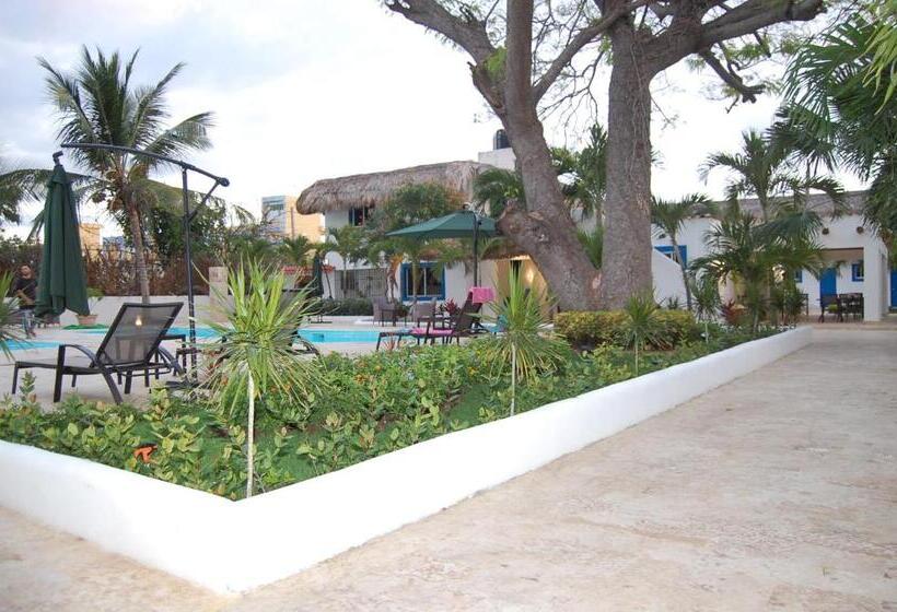 Nuovo Hotel Playa Catalina