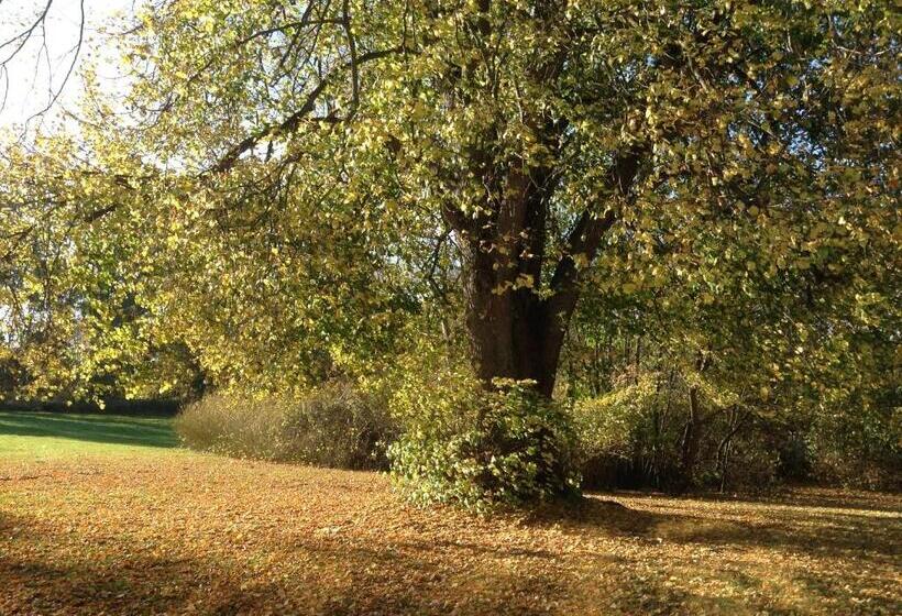 Cămin Nykøbing Falster Vandrehjem