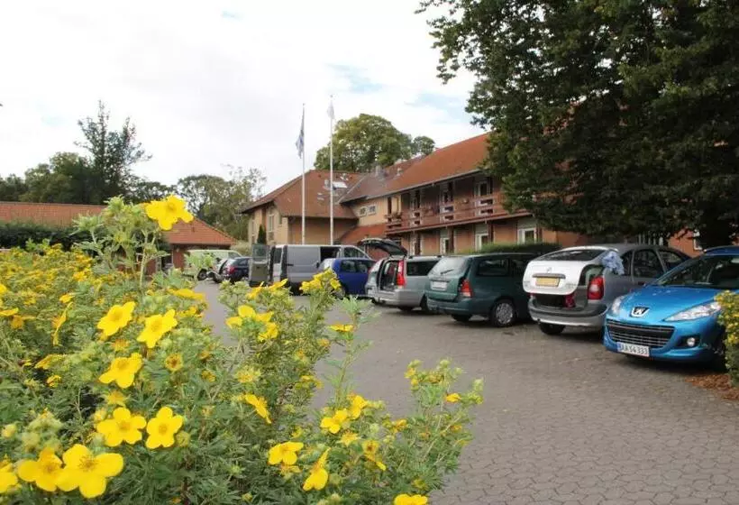 ユースホステル Nykøbing Falster Vandrehjem