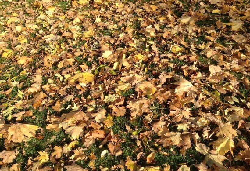 Cămin Nykøbing Falster Vandrehjem