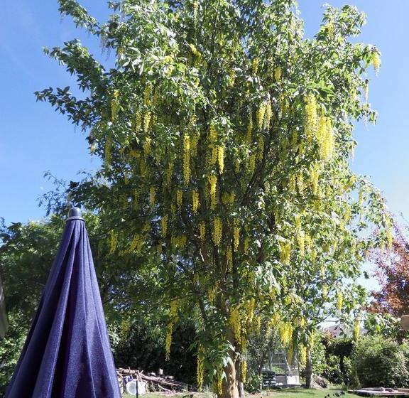 Bed And Breakfast Birkerod