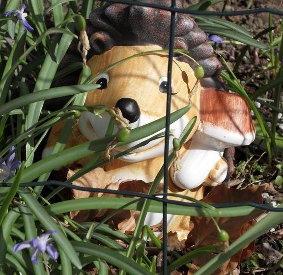 Bed And Breakfast Birkerod