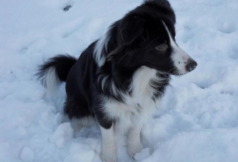 Bed And Breakfast Birkerod